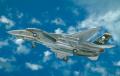 F - 14 A TOMCAT 2667 1/48 Italeri